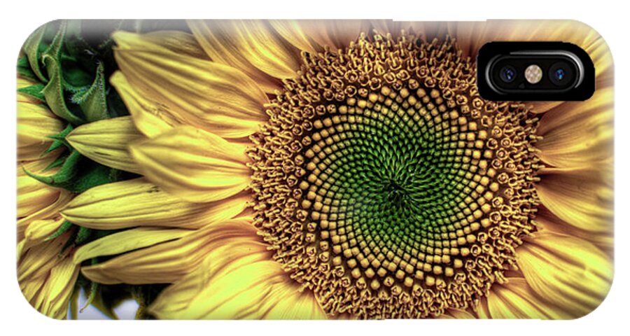  iPhone X Case featuring the photograph Sunflower 28 by Natasha Bishop