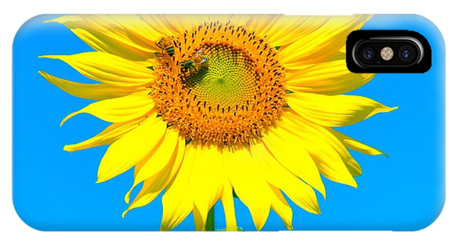Sunflower iPhone X Case featuring the photograph Sunflower and Bee by Debbi Granruth