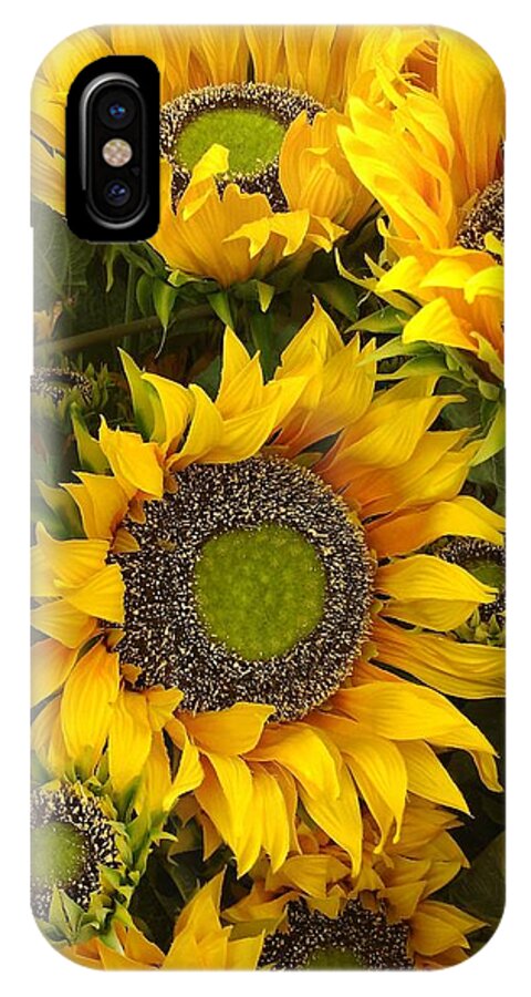 Sunflowers iPhone X Case featuring the photograph Sunflowers by Tim Donovan