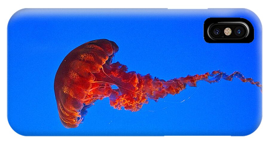 Jellyfish iPhone X Case featuring the photograph Swimmer by Mark Messenger