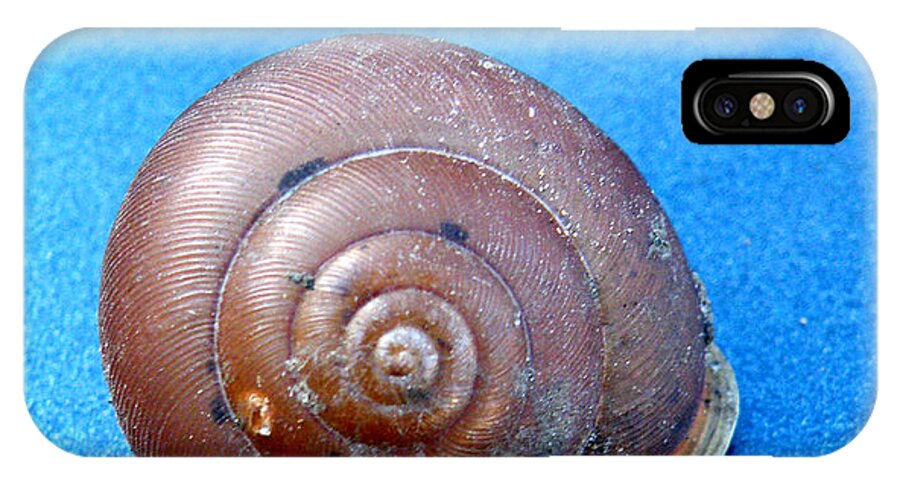 Life iPhone X Case featuring the photograph The Shell of a Snail by Kimmary MacLean