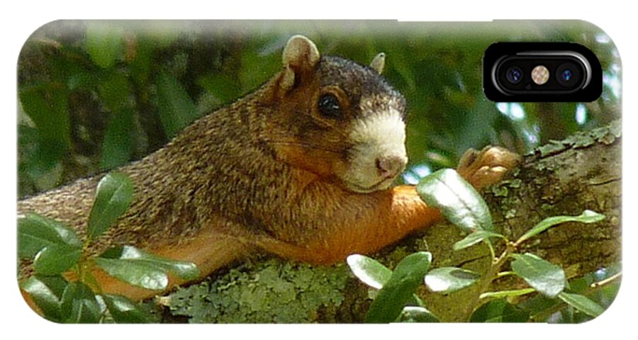 Side View iPhone X Case featuring the photograph The Squirrel by Anthony Walker Sr