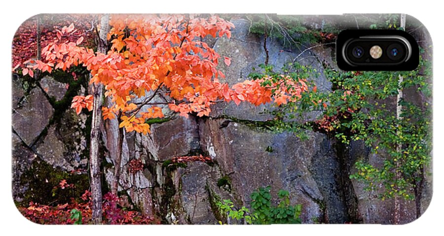 Vermont iPhone X Case featuring the photograph Tree and Rock by Tom Singleton