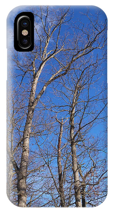 Trees iPhone X Case featuring the photograph Trees with Cotton Cloud by Corinne Elizabeth Cowherd