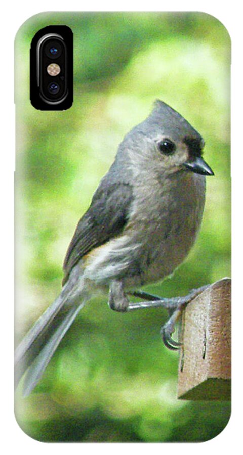Titmouse iPhone X Case featuring the photograph Tufted Titmouse by Lizi Beard-Ward