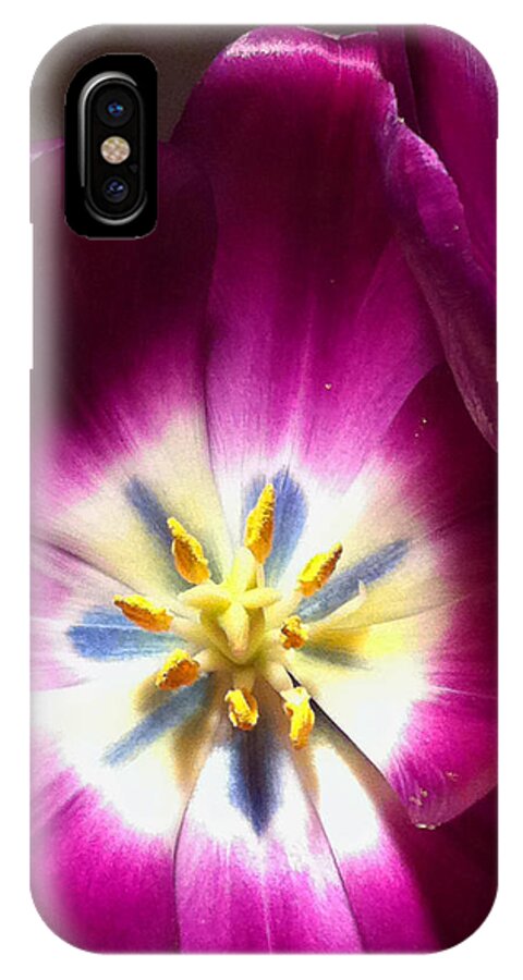 Tulips iPhone X Case featuring the photograph Tulip Overture by Kathy Corday