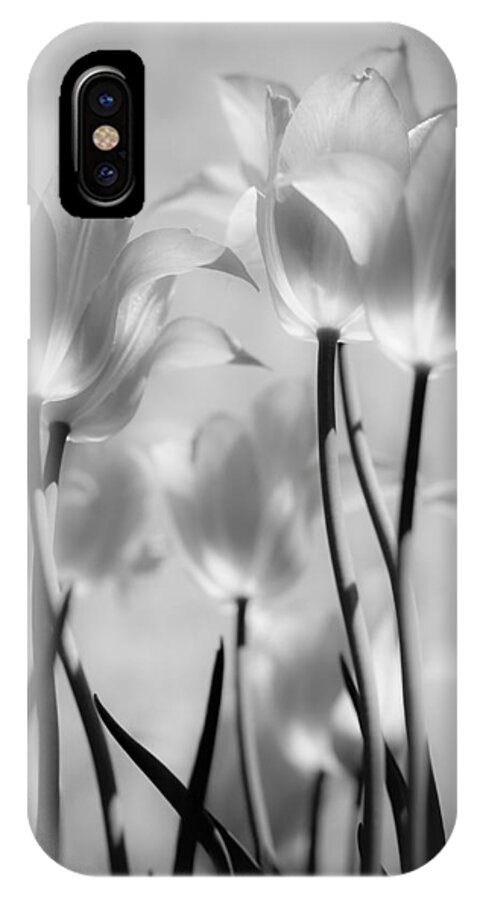 Tulips iPhone X Case featuring the photograph Tulips Glow by Michelle Joseph-Long