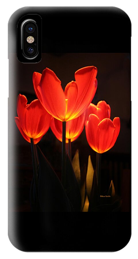 Tulip iPhone X Case featuring the photograph Tulips by Rebecca Samler