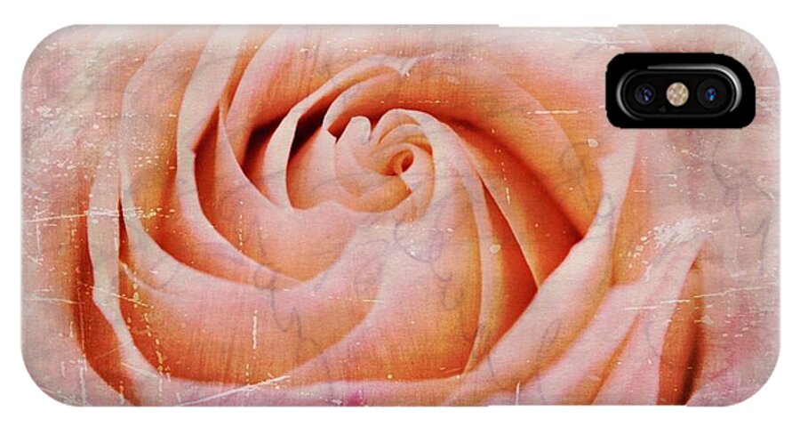 Rose iPhone X Case featuring the photograph Urban Bloom by Elizabeth Budd