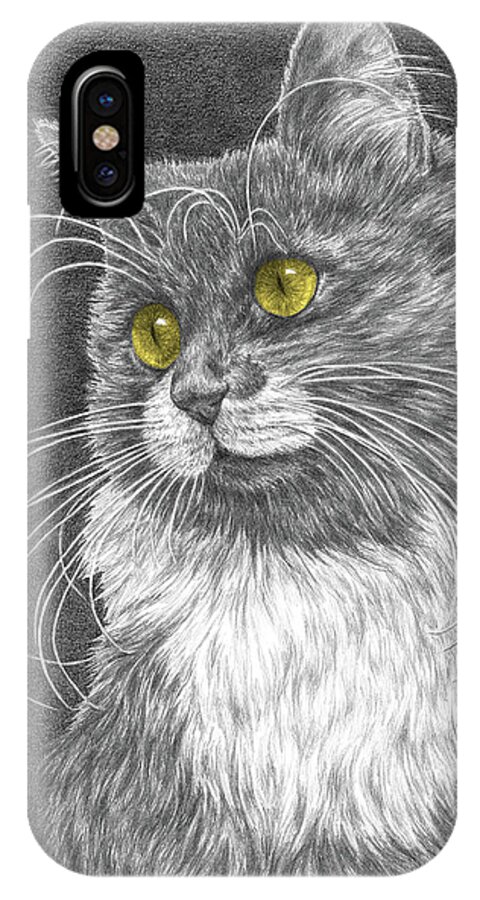 Cat iPhone X Case featuring the drawing Whiskers - Color Tinted Art Print by Kelli Swan