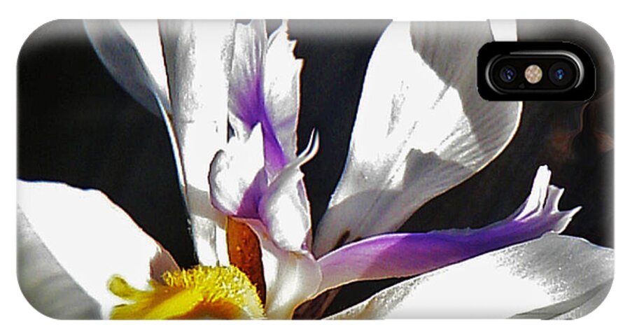 White Iris iPhone X Case featuring the photograph White Iris by Daniele Smith