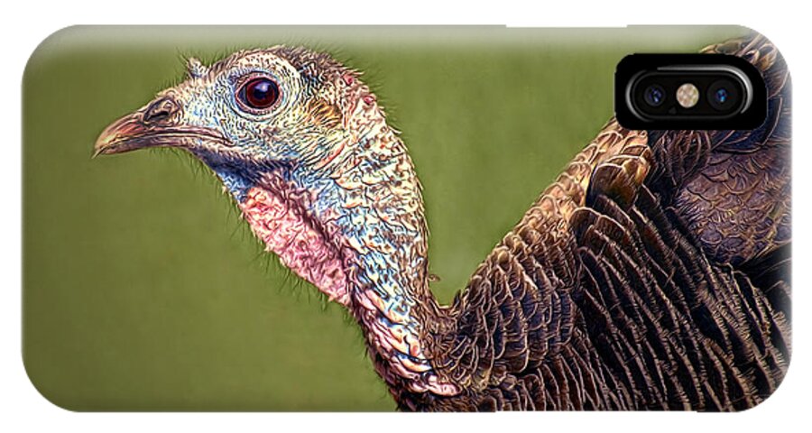 Turkey iPhone X Case featuring the photograph Wild Turkey Portrait by Dave Mills