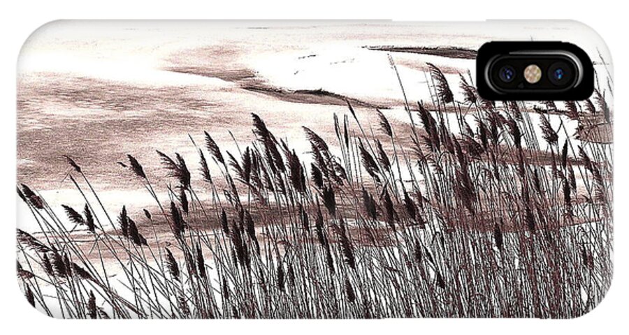 Winter iPhone X Case featuring the photograph Winter Grasses by Jeff Heimlich