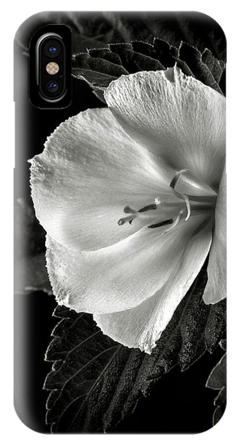 Flower iPhone X Case featuring the photograph Yellow Alder in Black and White by Endre Balogh