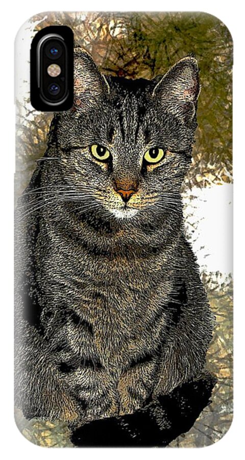 Cats iPhone X Case featuring the digital art Zachary by Dale  Ford