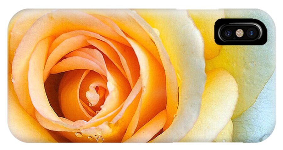 Rose iPhone X Case featuring the photograph Bathing Beauty #1 by Nicole Dumond-Barry