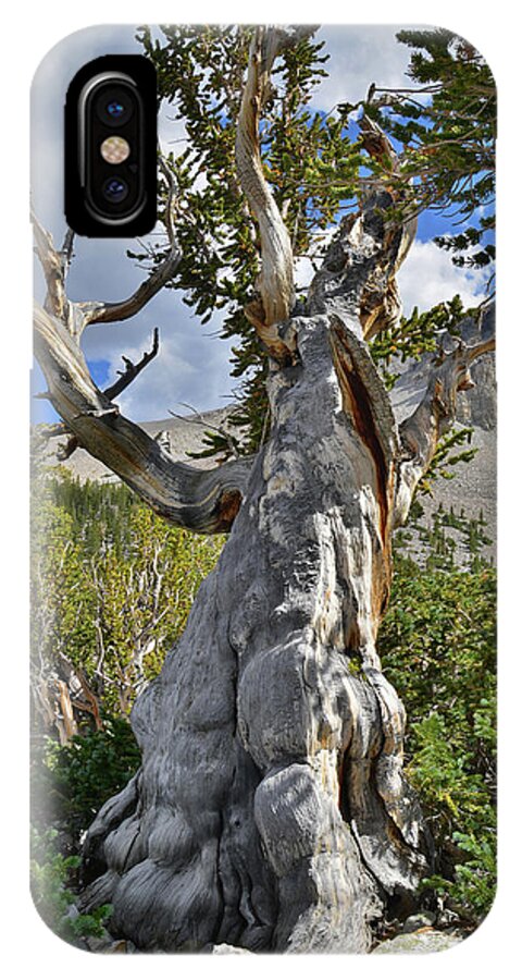 Great Basin National Park iPhone X Case featuring the photograph Big Fella #1 by Ray Mathis