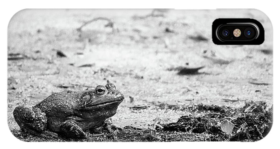 Animal iPhone X Case featuring the photograph Bull Frog #1 by Jason Smith
