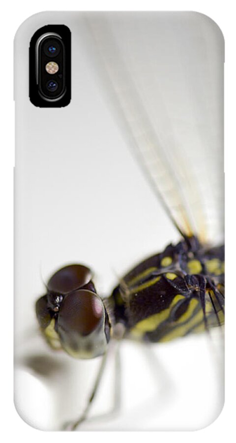 Lightweight iPhone X Case featuring the photograph Close up shoot of a anisoptera dragonfly #1 by U Schade