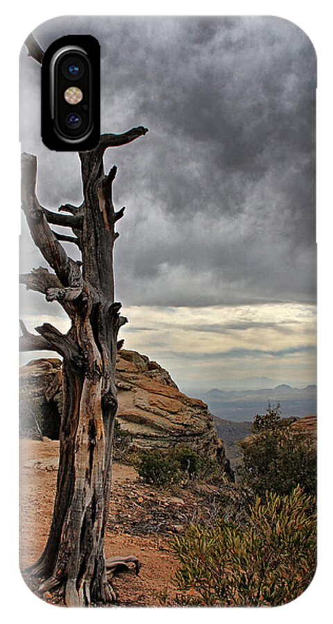 Mount Lemmon iPhone X Case featuring the photograph Crags and Crooks II #1 by Leda Robertson
