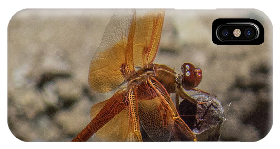 Dragonfly iPhone X Case featuring the photograph Dragonfly 18 by Christy Garavetto