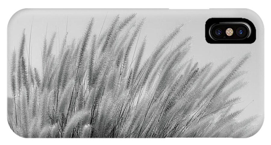 Black And White iPhone X Case featuring the photograph Foxtails on a Hill in Black and White by Leah McPhail