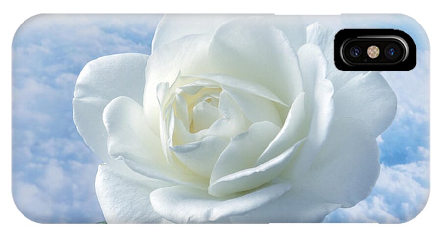 Rose iPhone X Case featuring the photograph Heavenly White Rose. by Terence Davis