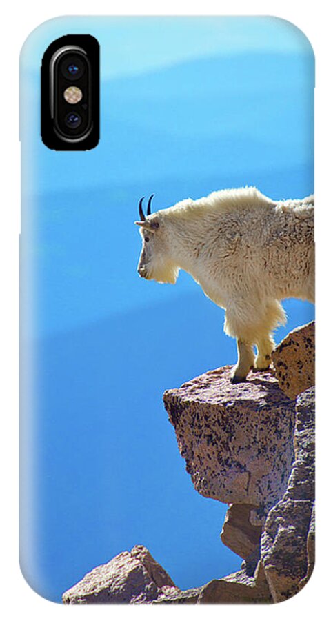 America iPhone X Case featuring the photograph Living On The Edge #1 by John De Bord