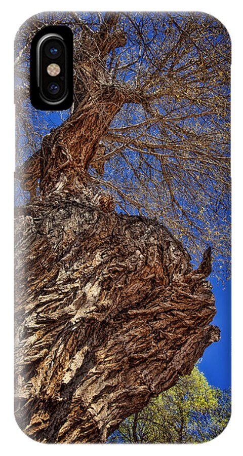 Photography iPhone X Case featuring the photograph Looking Up #2 by Diana Powell
