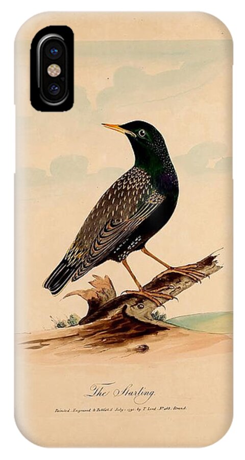 Lord's Entire New System Of Ornithology iPhone X Case featuring the painting New System Of Ornithology #1 by MotionAge Designs