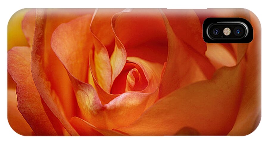 Orange iPhone X Case featuring the photograph Orange Passion #1 by Diana Haronis
