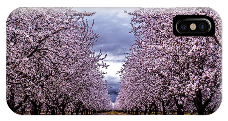 Orchards iPhone X Case featuring the photograph Pretty in Pink #1 by Janet Kopper