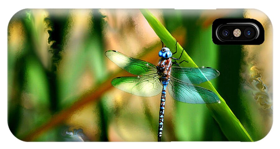 Dragonfly iPhone X Case featuring the photograph Stained Glass Dragonfly #1 by Lisa Redfern