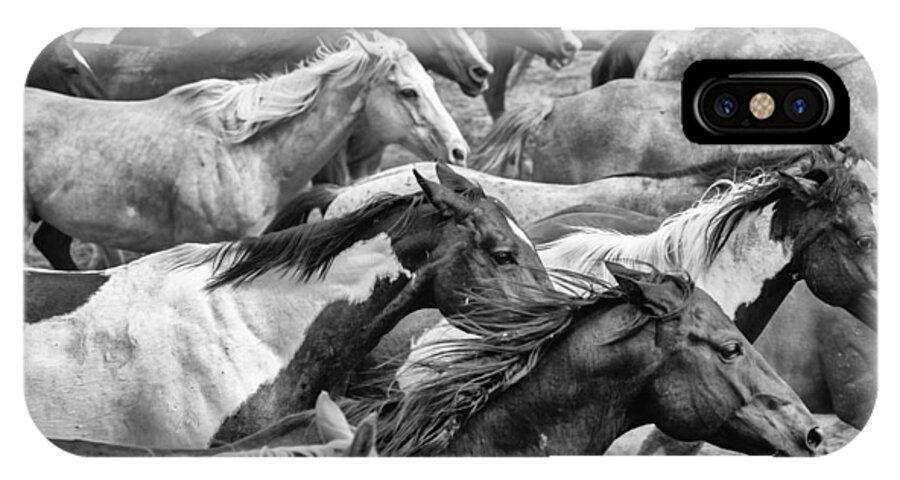 Horses iPhone X Case featuring the photograph The Herd #1 by Ryan Courson