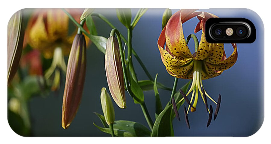 Orange Flowers iPhone X Case featuring the photograph Turk's Cap Lily #2 by Randy Bodkins