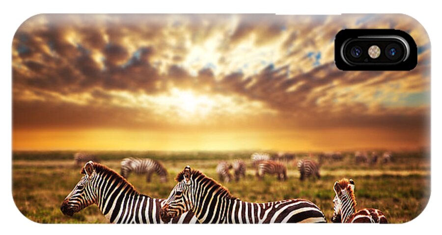 Africa iPhone X Case featuring the photograph Zebras herd on African savanna at sunset. #1 by Michal Bednarek