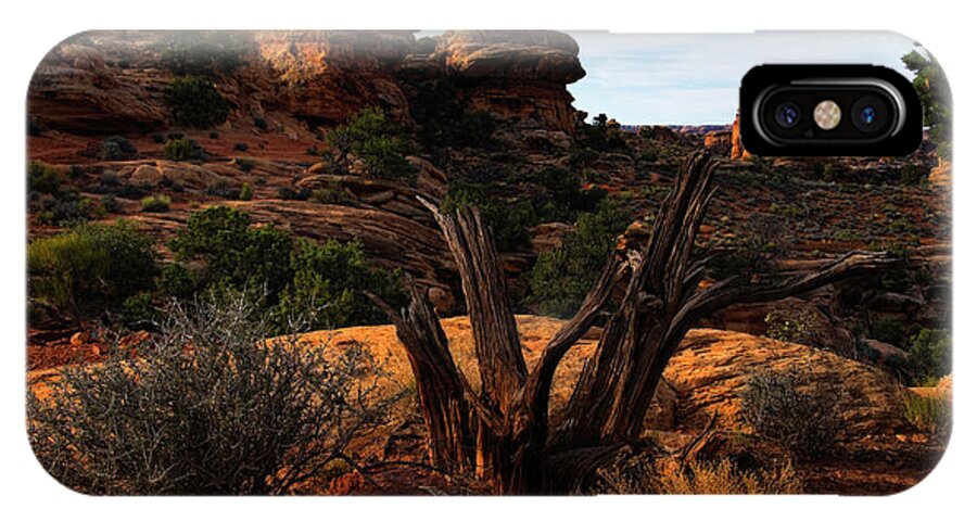 Canyonlands National Park iPhone X Case featuring the photograph Canyonlands National Park Utah #12 by Douglas Pulsipher