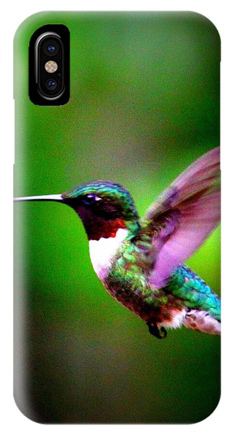 Ruby-throated Hummingbird iPhone X Case featuring the photograph 1846-007 - Ruby-throated Hummingbird by Travis Truelove