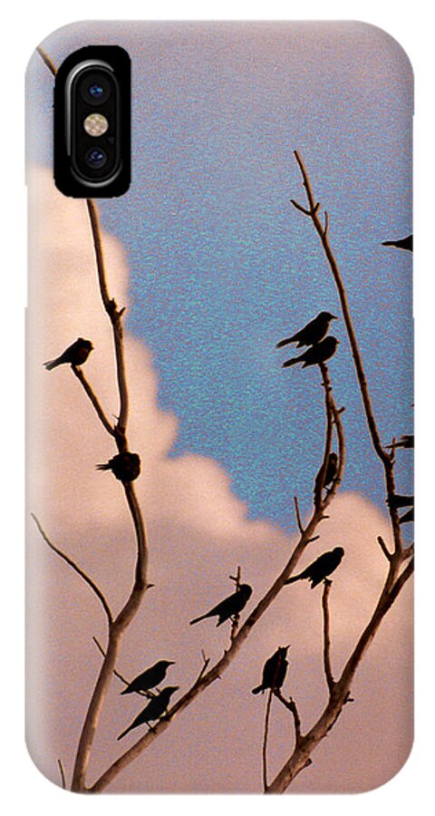 Birds iPhone X Case featuring the photograph 19 Blackbirds by Steve Karol