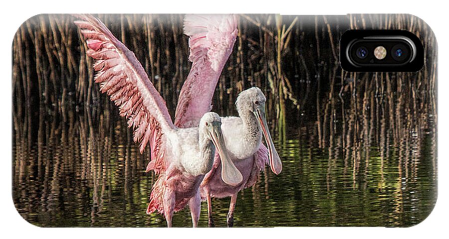 Spoonbill iPhone X Case featuring the photograph A Pair of Spoonbills #2 by Dorothy Cunningham