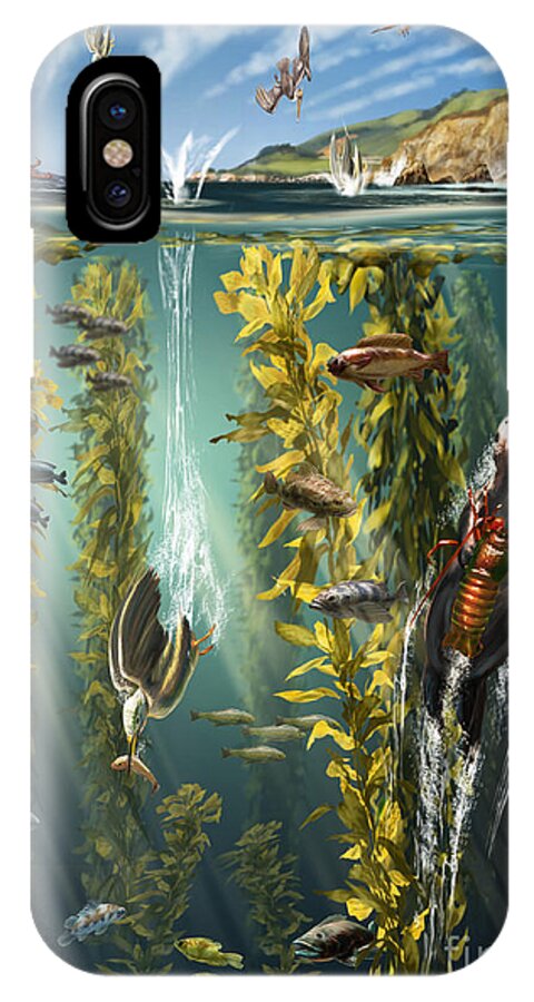Kelp Forest iPhone X Case featuring the photograph California Kelp Forest #2 by Jim Dowdalls