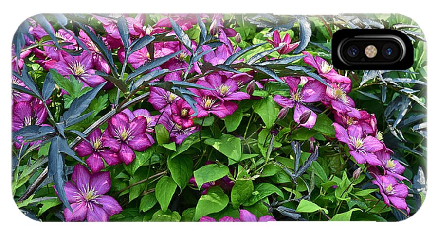 Clematis iPhone X Case featuring the photograph 2015 Summer at the Garden Beautiful Clematis by Janis Senungetuk