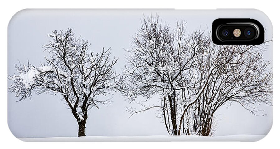 Tree iPhone X Case featuring the photograph Winter #3 by Ian Middleton