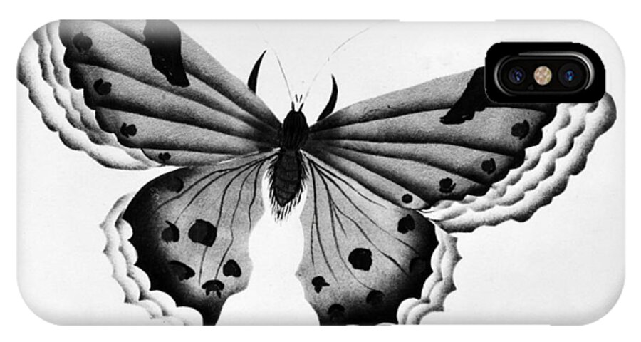 Animal iPhone X Case featuring the photograph Butterfly #4 by Granger