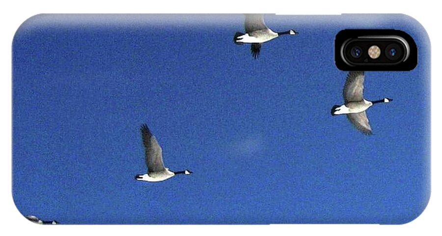 Geese iPhone X Case featuring the photograph 4 Geese in Flight by Cindy Schneider
