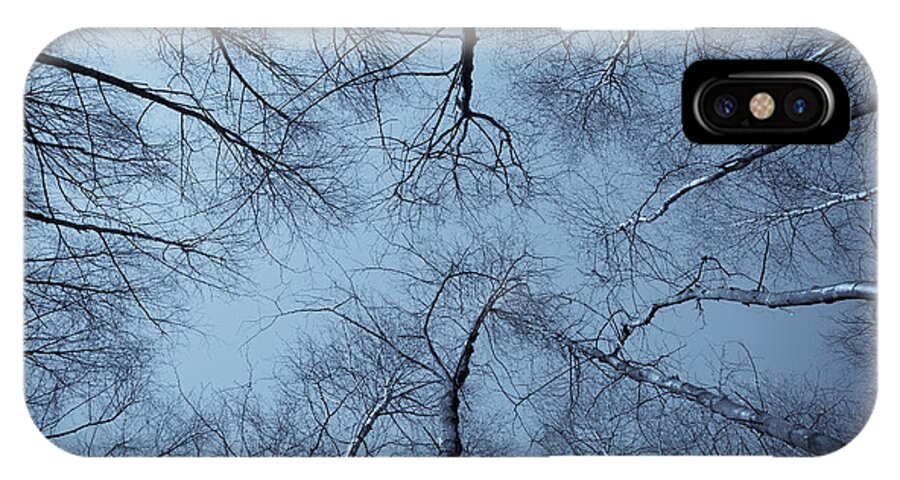 Tree iPhone X Case featuring the photograph Trees in Epping Forest #4 by David Pyatt
