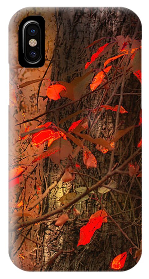 Autumn iPhone X Case featuring the photograph 4019 by Peter Holme III