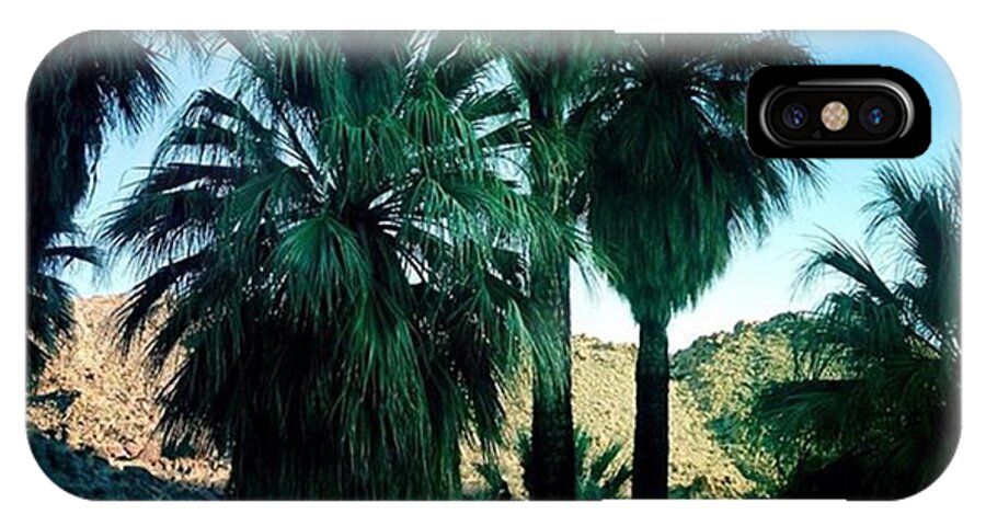 Picture iPhone X Case featuring the photograph 49 Palms Oasis. Have You Ever Been To by Alex Snay