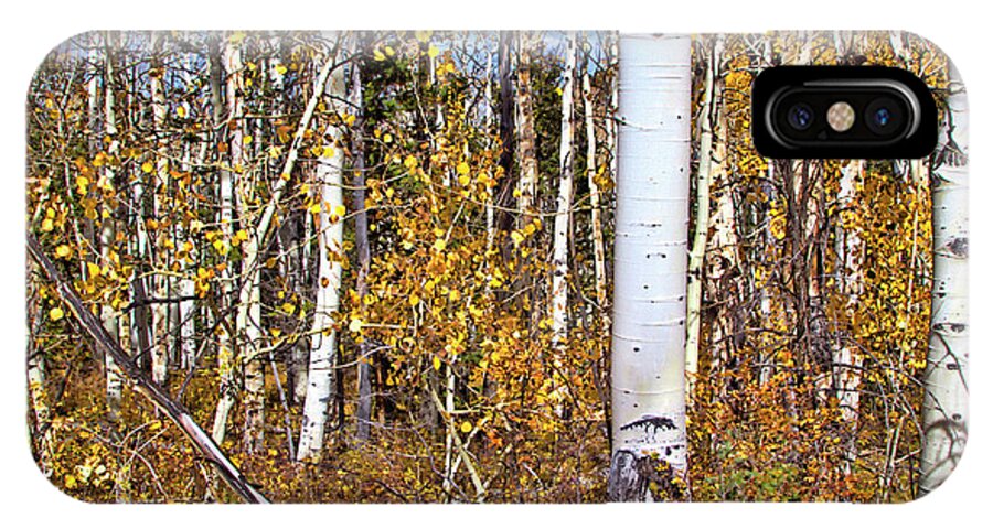 Autumn iPhone X Case featuring the photograph Rocky Mountain Fall #5 by Mark Smith