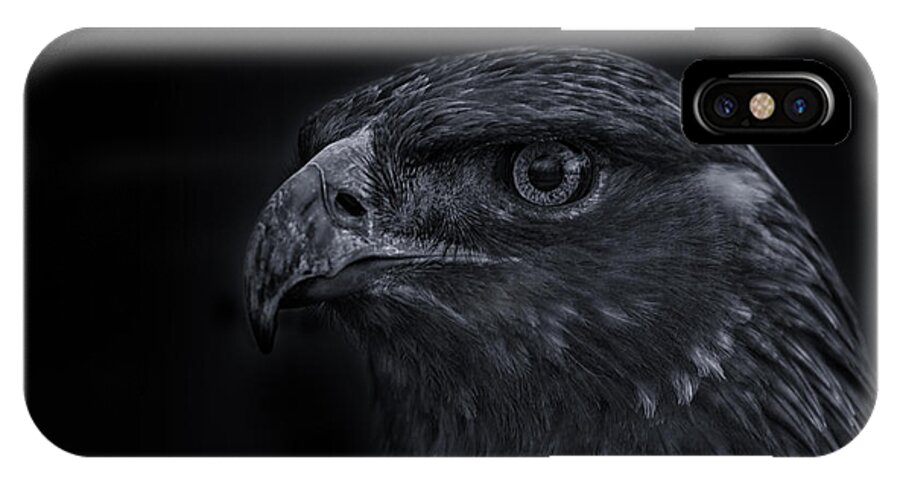 Animal iPhone X Case featuring the photograph Golden Eagle #6 by Brian Cross